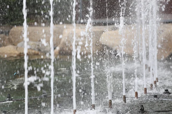 Fontána je splash v parku. — Stock fotografie