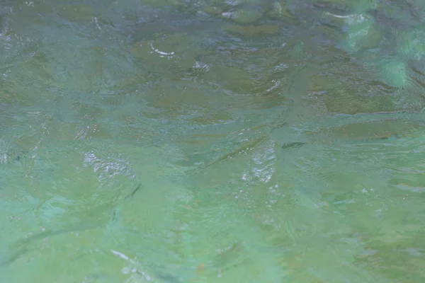 Oberfläche des Wassers. — Stockfoto