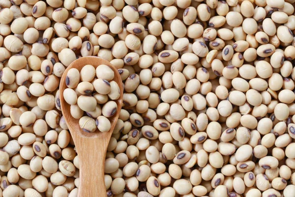 Fresh soybean in wooden spoon. — Stock Photo, Image