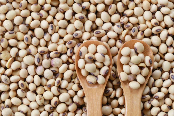 Fresh soybean in wooden spoon. — Stock Photo, Image