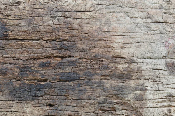 Stara faktura drewna. — Zdjęcie stockowe