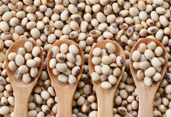 Fresh soybean in wooden spoon. — Stock Photo, Image