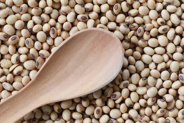 Empty wooden spoon on pile soybean. — Stock Photo, Image