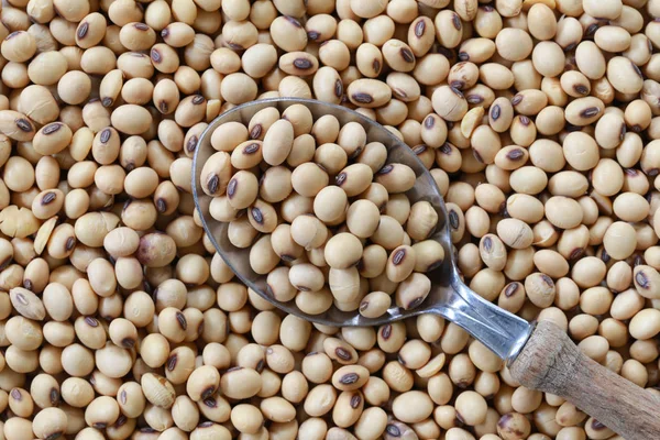 Soybean in silver spoon on bean background. — Stock Photo, Image