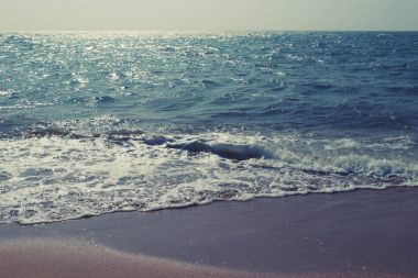 Plaj veya vintage renk stili tropik deniz kıyısında.