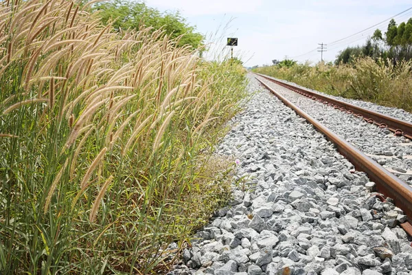 Железная дорога и трава . — стоковое фото