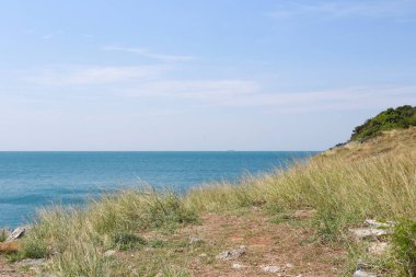 Dağ alan yeşil çim örtüsü ile.