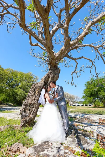 Foto von asiatischen Paaren vor der Hochzeit unter einem Baum in einer Blume — Stockfoto