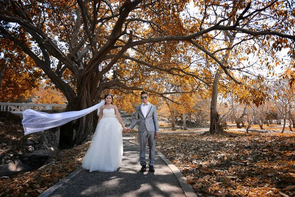 Foto von asiatischen Paaren vor der Hochzeit unter einem Baum in einer Blume — Stockfoto