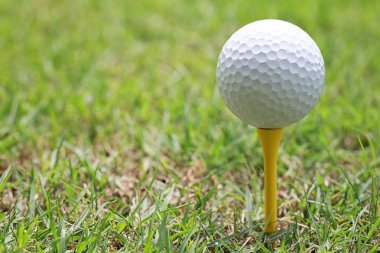 Ahşap golf tee Golf topu.