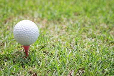Ahşap golf tee Golf topu.