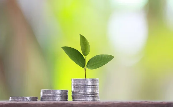 Forma de gráfico de medallón y copa de árbol verde para cultivar en concepto de — Foto de Stock