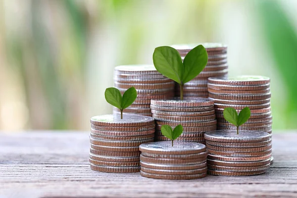 Zilveren munt van grafiek vorm en groene boom boven naar geteeld in concep — Stockfoto