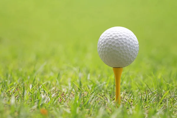 Golfový míček na dřevěné golf tee. — Stock fotografie