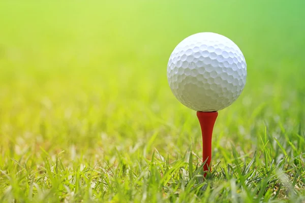 Golfový míček na dřevěné golf tee. — Stock fotografie