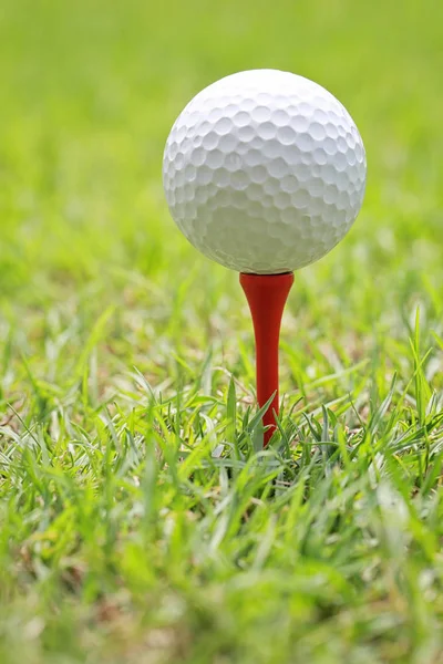Pelota de golf en tee de golf de madera . —  Fotos de Stock