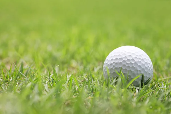 Golf ball on wooden golf tee. — Stock Photo, Image