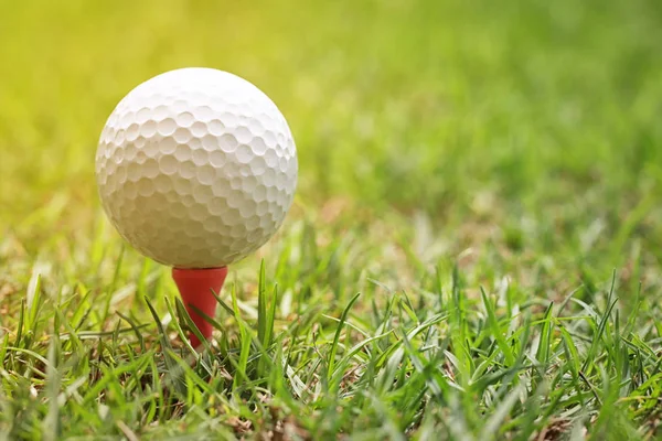 Bola de golf blanca y luz del sol de la mañana . — Foto de Stock