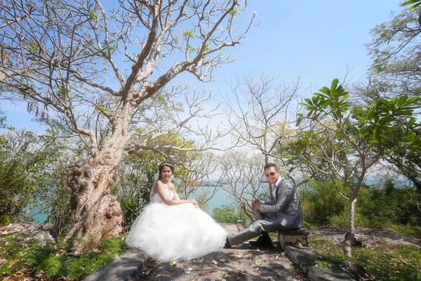 Photographie de Pré mariage couples asiatiques Sous un arbre dans une fleur — Photo