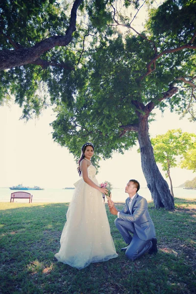 Foto von asiatischen Paaren vor der Hochzeit unter einem Baum in einer Blume — Stockfoto