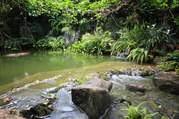 Wasserfall Garten Garten Simuliert Natürlichen Ort — Stockfoto