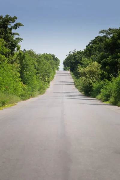 Camino rural con árboles . — Foto de Stock