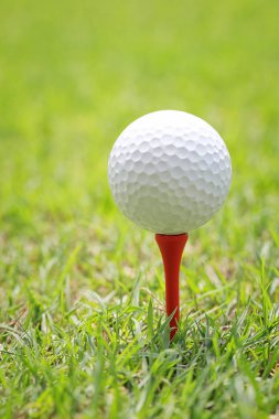 Ahşap golf tee Golf topu.
