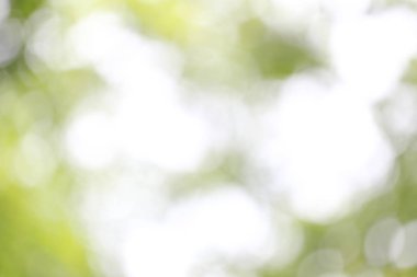 Soyut doğa bulanık bokeh arka plan.