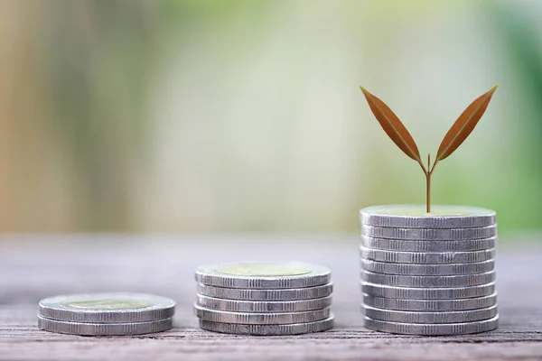 Silver coin of Business graph in growth and tree. — Stock Photo, Image