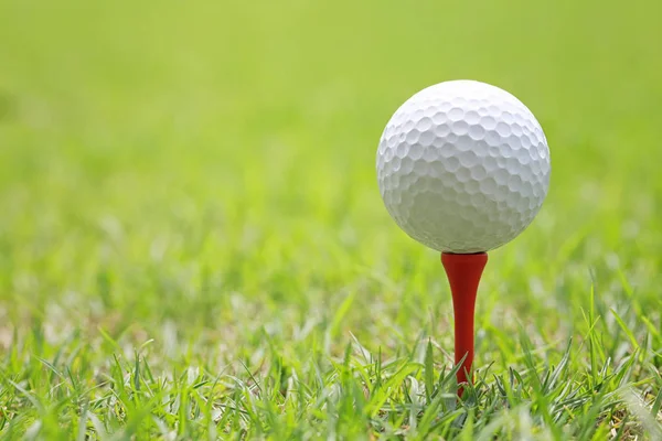 Pelota de golf en tee de golf de madera . —  Fotos de Stock