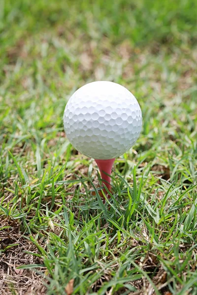 Bola de golfe em tee de golfe de madeira . — Fotografia de Stock