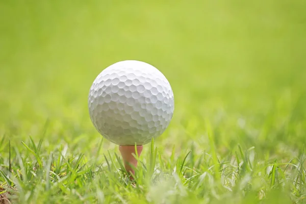 Golfový míček na dřevěné golf tee. — Stock fotografie