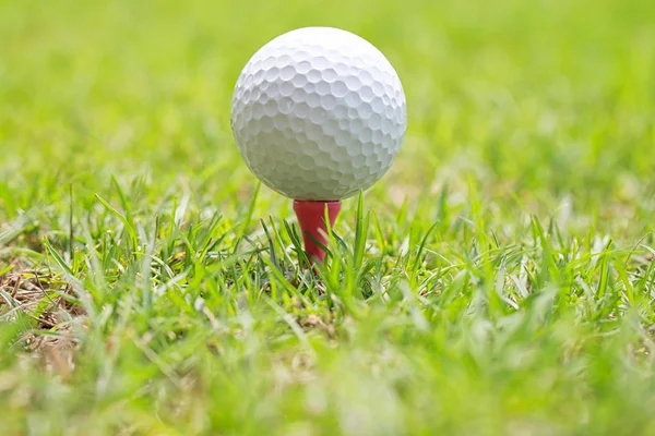 М'яч для гольфу на дерев'яному трійнику для гольфу . — стокове фото