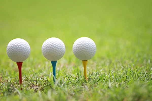 Golfový míček na dřevěné golf tee. — Stock fotografie