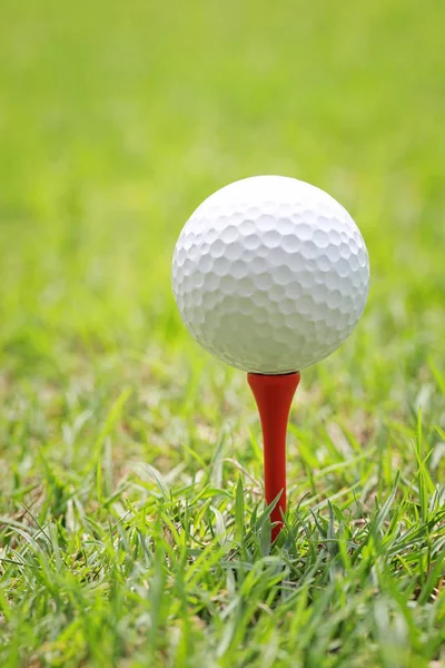 Golf ball on wooden golf tee. — Stock Photo, Image