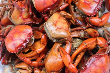 Kaynatın pirinç alanının arka plan kasık biti..