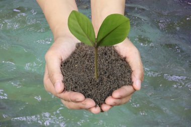 Erkekler el ve su arka plan yerdeki yeşil ağaç.