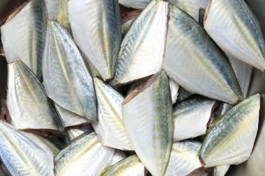 Ham Kocagözlü trevally veya gölgeli jack balık gezmek için malzemeler