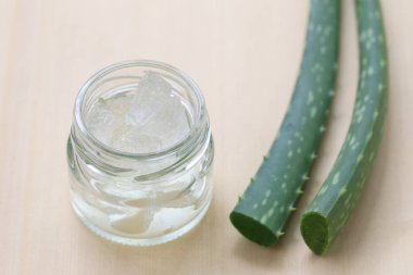 Taze aloe vera ve jöle cam şişe içinde ahşap flo üzerinde yer