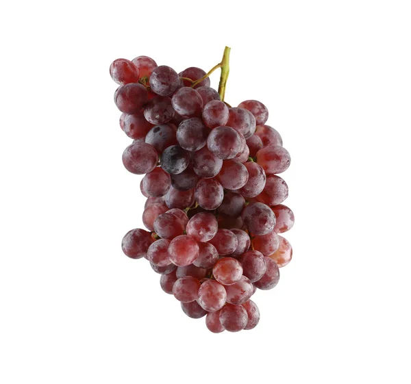 Świeże winogrona fioletowe na białym tle. — Zdjęcie stockowe