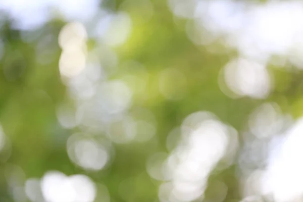 Abstract nature bokeh blurred background. — Stock Photo, Image