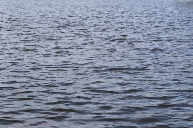 Deniz arka plan yüzey ve dalga dalgalanma var.