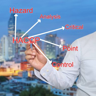işadamı ve Haccp sistemi co çizim kırmızı kalem konuya el
