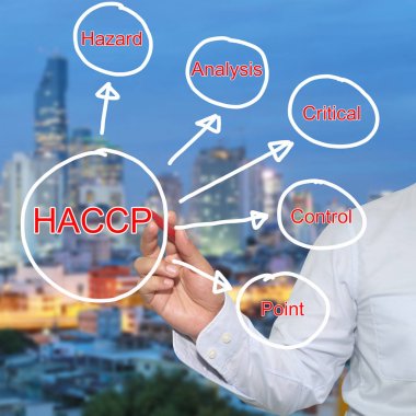 işadamı ve Haccp sistemi co çizim kırmızı kalem konuya el