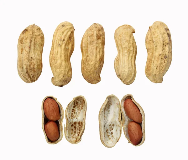 Fresh peanut collection isolated on white background. — Stock Photo, Image