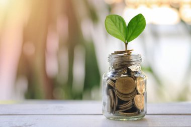 Leaf fidan üzerinde ahşap f var ve para koymak için cam şişe