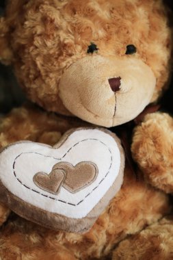 Boz ayı bebek kadar kapatın.