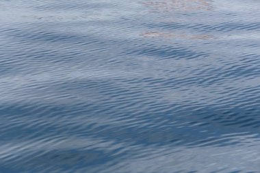 Deniz arka plan yüzey ve dalga dalgalanma var.