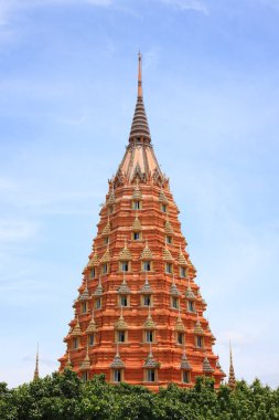 Kaplan mağara Tapınağı ili Kanchanaburi, Tayland.