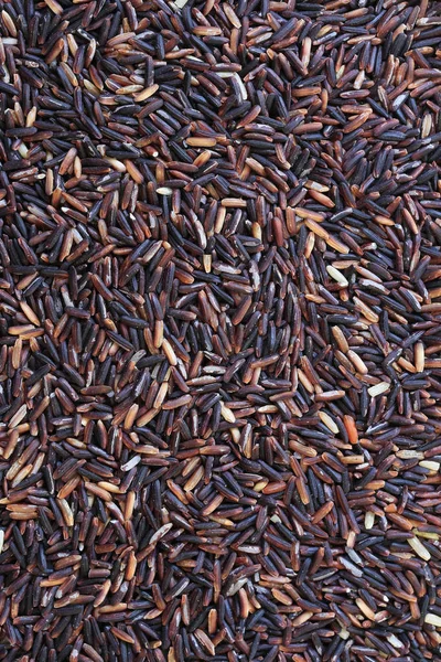 Surface of brown jasmine rice background. — Stock Photo, Image